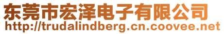 東莞市宏澤電子有限公司