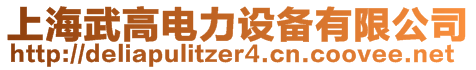 上海武高電力設備有限公司