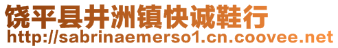 饒平縣井洲鎮(zhèn)快誠鞋行