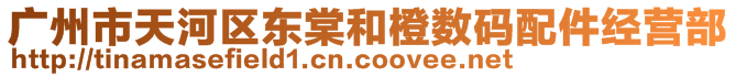 廣州市天河區(qū)東棠和橙數(shù)碼配件經(jīng)營部