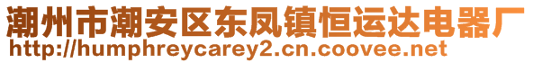 潮州市潮安區(qū)東鳳鎮(zhèn)恒運達電器廠