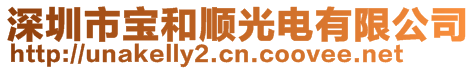 深圳市寶和順光電有限公司