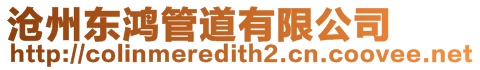 滄州東鴻管道有限公司