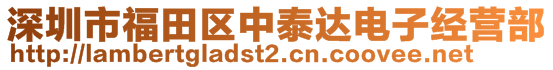 深圳市福田区中泰达电子经营部