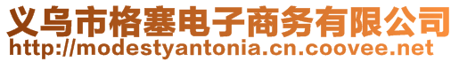 义乌市格塞电子商务有限公司