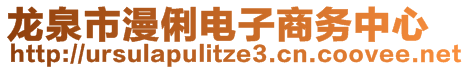 龍泉市漫俐電子商務中心