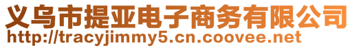義烏市提亞電子商務有限公司