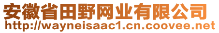 安徽省田野網(wǎng)業(yè)有限公司