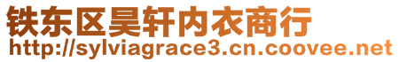 鐵東區(qū)昊軒內(nèi)衣商行