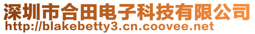 深圳市合田電子科技有限公司