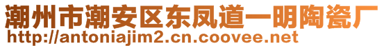 潮州市潮安區(qū)東鳳道一明陶瓷廠