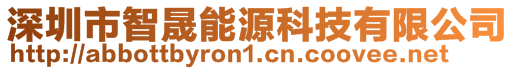 深圳市智晟能源科技有限公司