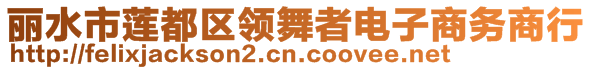 麗水市蓮都區(qū)領(lǐng)舞者電子商務(wù)商行