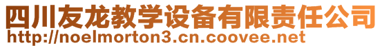 四川友龍教學設備有限責任公司