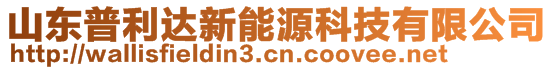 山东普利达新能源科技有限公司