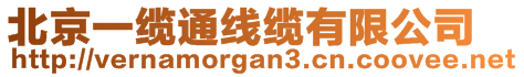 北京一纜通線纜有限公司