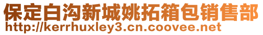 保定白沟新城姚拓箱包销售部