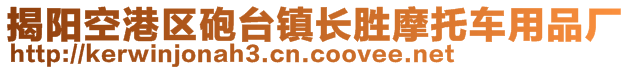 揭陽空港區(qū)砲臺鎮(zhèn)長勝摩托車用品廠