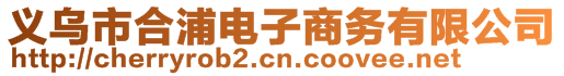 義烏市合浦電子商務(wù)有限公司