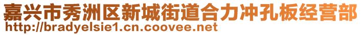 嘉興市秀洲區(qū)新城街道合力沖孔板經(jīng)營部