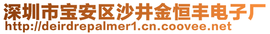 深圳市寶安區(qū)沙井金恒豐電子廠