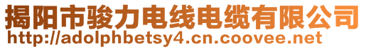 揭陽市駿力電線電纜有限公司