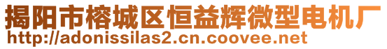 揭陽市榕城區(qū)恒益輝微型電機廠