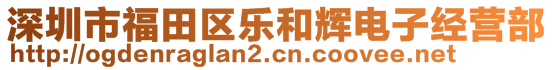 深圳市福田区乐和辉电子经营部