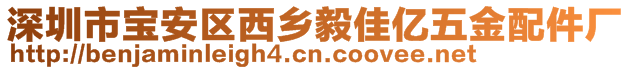 深圳市寶安區(qū)西鄉(xiāng)毅佳億五金配件廠