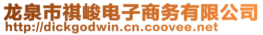 龍泉市祺峻電子商務(wù)有限公司