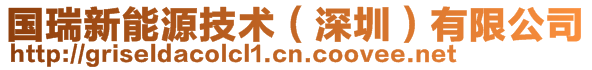 國(guó)瑞新能源技術(shù)（深圳）有限公司