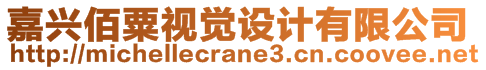 嘉興佰粟視覺設計有限公司