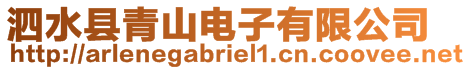 泗水縣青山電子有限公司