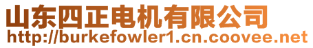 山東四正電機(jī)有限公司