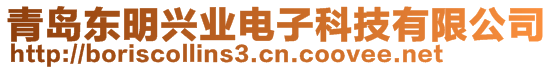 青島東明興業(yè)電子科技有限公司