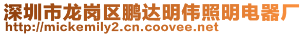 深圳市龙岗区鹏达明伟照明电器厂