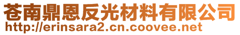 蒼南鼎恩反光材料有限公司