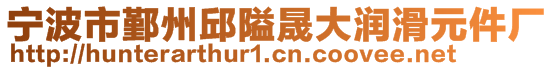 寧波市鄞州邱隘晟大潤滑元件廠