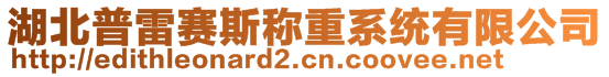 湖北普雷賽斯稱重系統有限公司