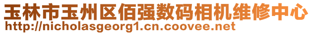 玉林市玉州區(qū)佰強數碼相機維修中心