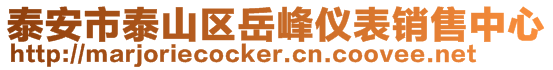 泰安市泰山區(qū)岳峰儀表銷售中心