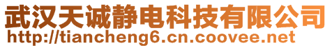 武漢天誠靜電科技有限公司