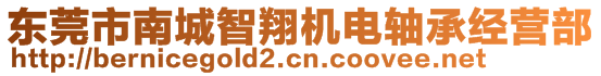 東莞市南城智翔機電軸承經(jīng)營部