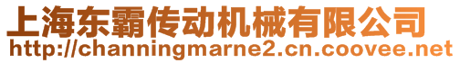 上海東霸傳動(dòng)機(jī)械有限公司