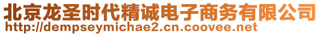 北京龍圣時(shí)代精誠(chéng)電子商務(wù)有限公司