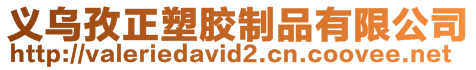 義烏孜正塑膠制品有限公司