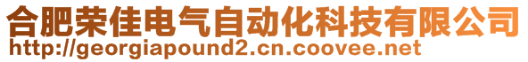 合肥荣佳电气自动化科技有限公司