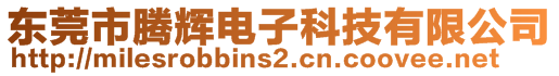 東莞市騰輝電子科技有限公司