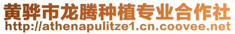 黄骅市龙腾种植专业合作社