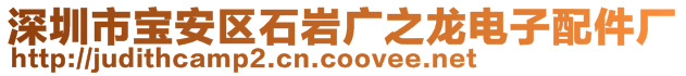 深圳市寶安區(qū)石巖廣之龍電子配件廠